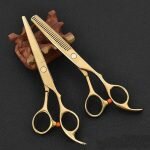 Hair Scissors Market Report 2022-2027: Industry Analysis, Share, Development Trends, Size and Forecast